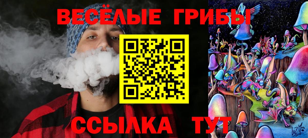 Псилоцибиновые грибы прущие грибы  Псилоцибиновые грибы Psilocybe  Вход с VPN  Керчь 