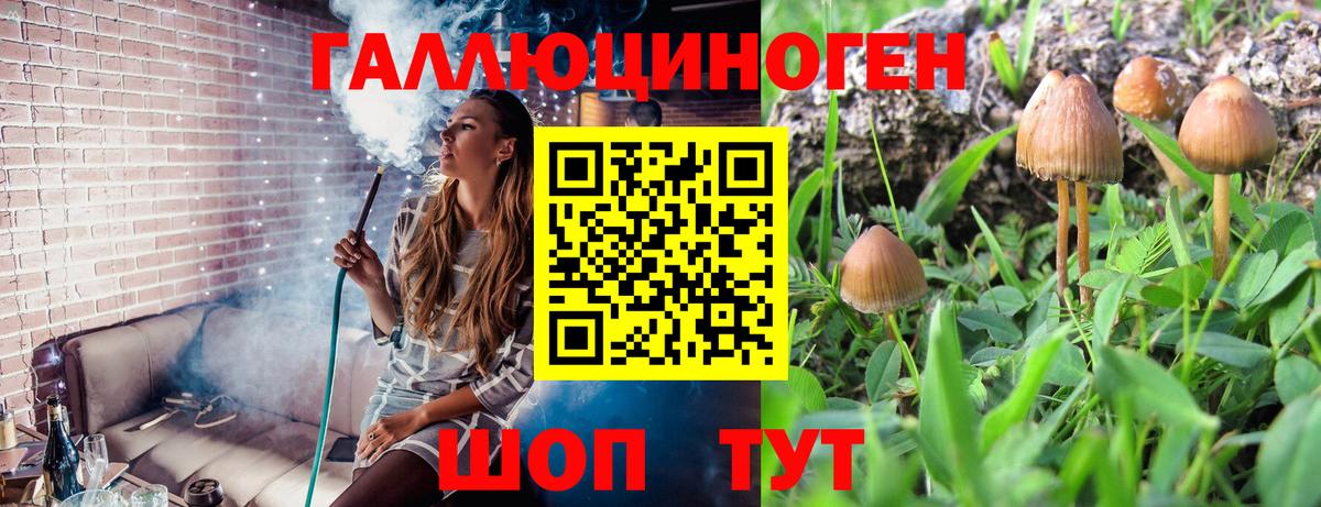 Галлюциногенные грибы прущие грибы Керчь